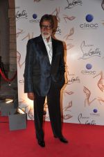Amitabh Bachchan at the launch of Christian Louboutin store launch in Fort, Mumbai on 20th March 2013 (49).JPG